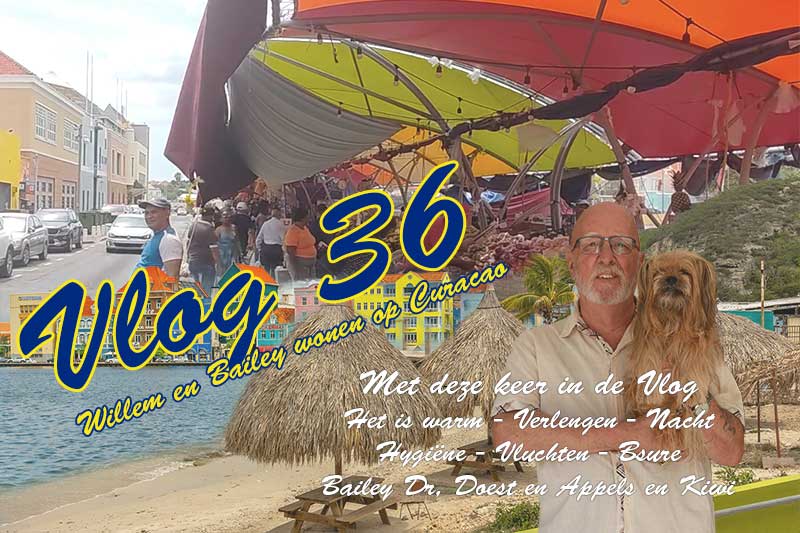 Willem en Bailey wonen op Curacao